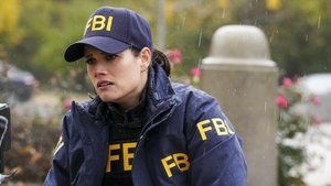 FBI Epizóda 16