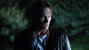 True Blood: Pravá krv Epizóda 9