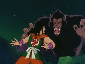 Dragon Ball Epizóda 13