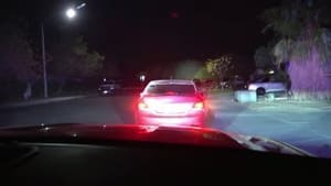Cops Epizóda 18