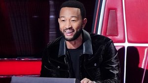 The Voice Epizóda 20