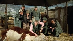 M*A*S*H Epizóda 11