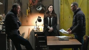 Chicago P.D. Epizóda 9