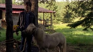 Heartland Epizóda 8