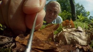 Nature Epizóda 5