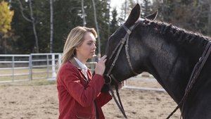 Heartland Epizóda 13