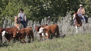 Heartland Epizóda 3