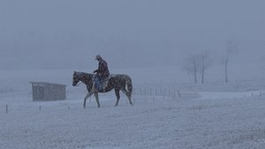 Heartland Epizóda 18