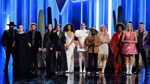 The Voice Epizóda 17