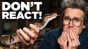Good Mythical Morning Epizóda 81