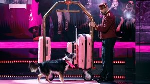 America's Got Talent Epizóda 10