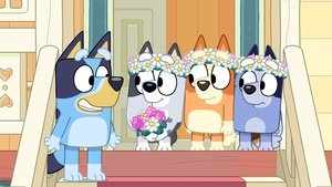 Bluey Znamenie