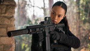FBI: International Epizóda 15