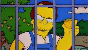 Simpsonovci Epizóda 24