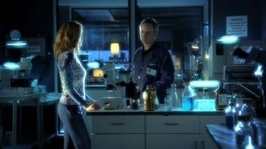C.S.I.: Kriminálka Las Vegas Epizóda 15