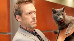 Dr. House Epizóda 18