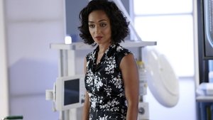 Agenti S.H.I.E.L.D. Girl in the Flower Dress