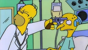 Simpsonovci Epizóda 1