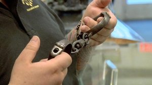 Pawn Stars Epizóda 18