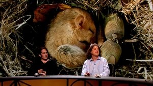 QI Epizóda 18