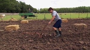 The Amazing Race Epizóda 11