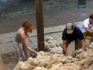 The Amazing Race Epizóda 12