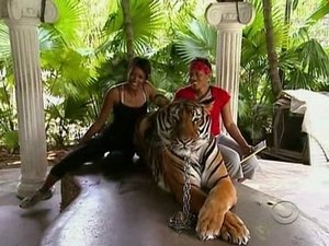 The Amazing Race Epizóda 7