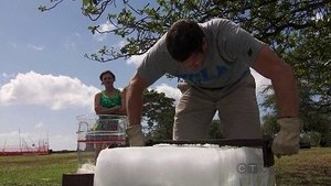 The Amazing Race Epizóda 12