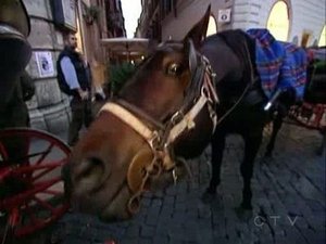 The Amazing Race Epizóda 7