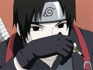 Naruto: Shippūden Epizóda 33