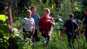 Hawaii 5.0 Epizóda 17