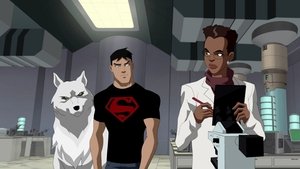 Young Justice Epizóda 22