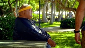 Hawaii 5.0 Epizóda 17