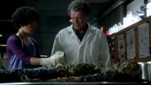 Fringe Epizóda 3