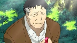 Fullmetal Alchemist Epizóda 14