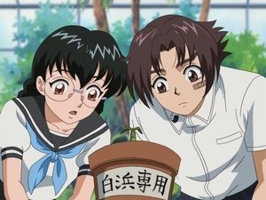 Kenichi: The Mightiest Disciple Epizóda 7