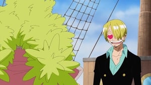 One Piece Epizóda 307