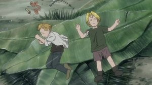 Fullmetal Alchemist Epizóda 28