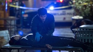 Grimm Epizóda 13