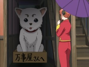 Gintama Epizóda 10