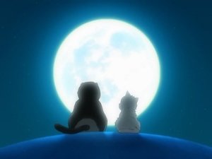 Gintama Epizóda 41