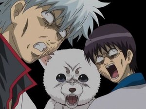 Gintama Epizóda 24