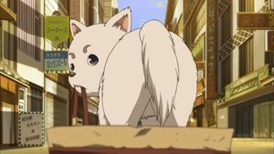 Gintama Epizóda 13