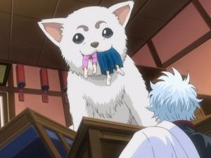 Gintama Epizóda 45