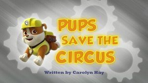 Labková patrola Labky zachraňujú cirkus