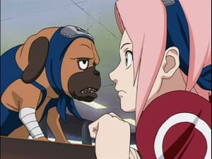 Naruto Epizóda 69