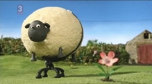 Ovečka Shaun Epizóda 34