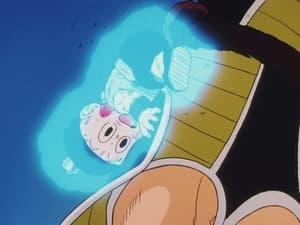 Dragon Ball Z  Epizóda 24