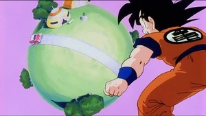 Dragon Ball Z  Epizóda 18