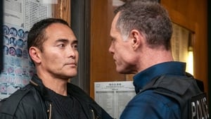 Chicago P.D. Epizóda 8